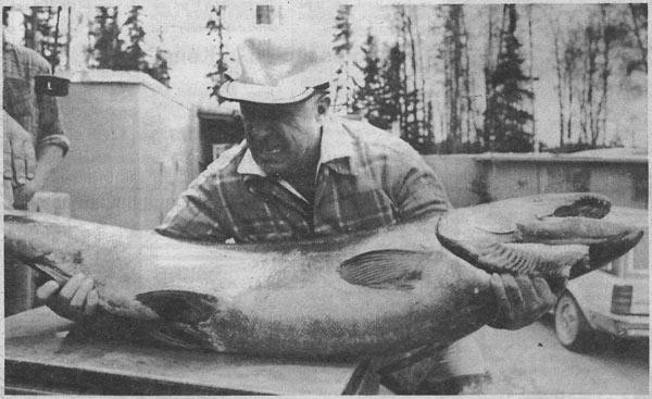 World Record Chinook Salmon!